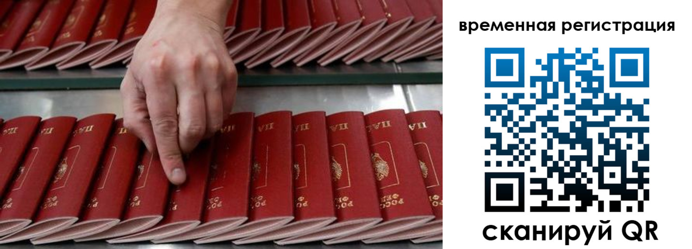 временная регистрация в квартире в Елизово